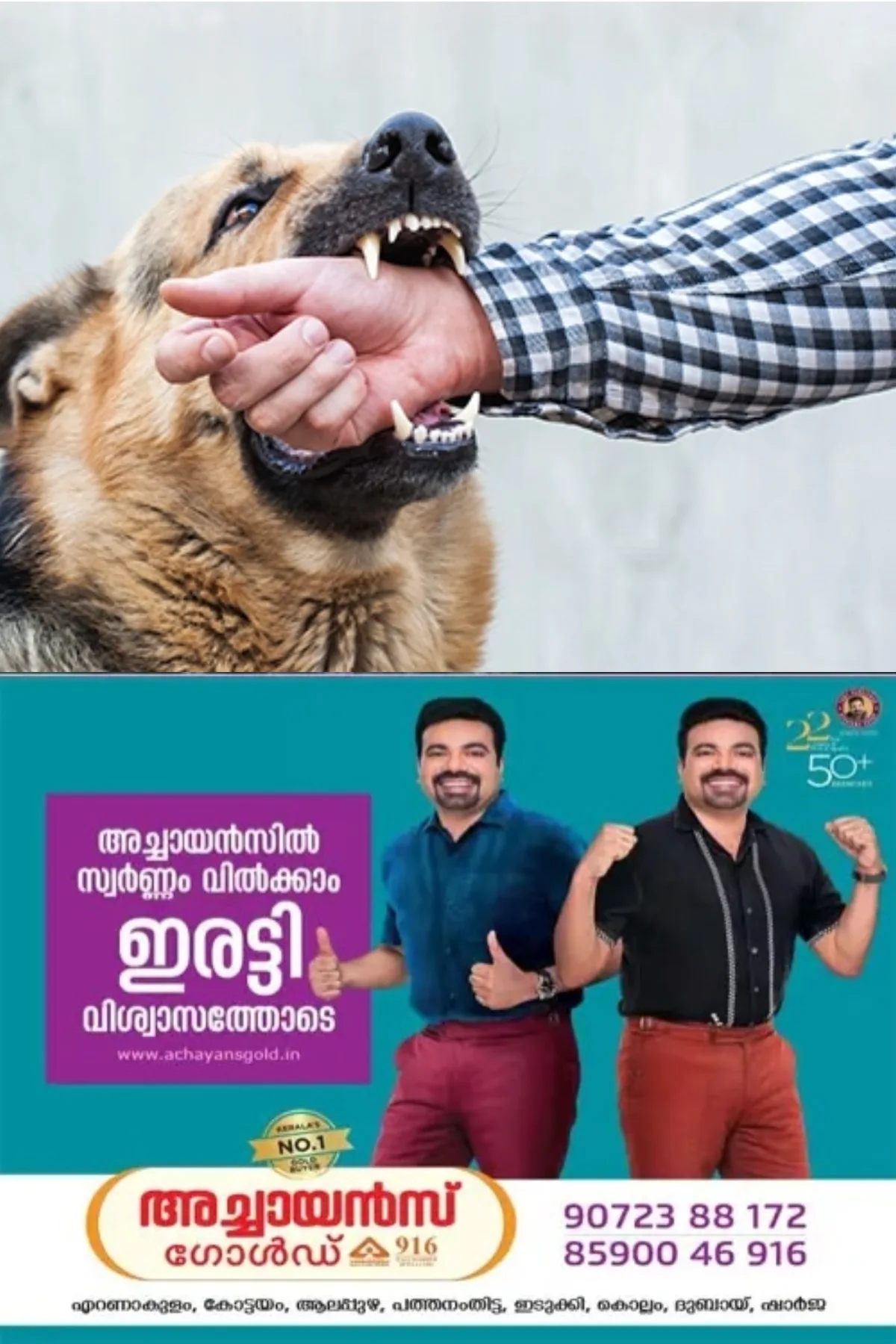 നായയുടെ കടിയേറ്റാല്‍ ആദ്യം ചെയ്യേണ്ട ചില കാര്യങ്ങള്‍ അറിഞ്ഞിരിക്കാം
