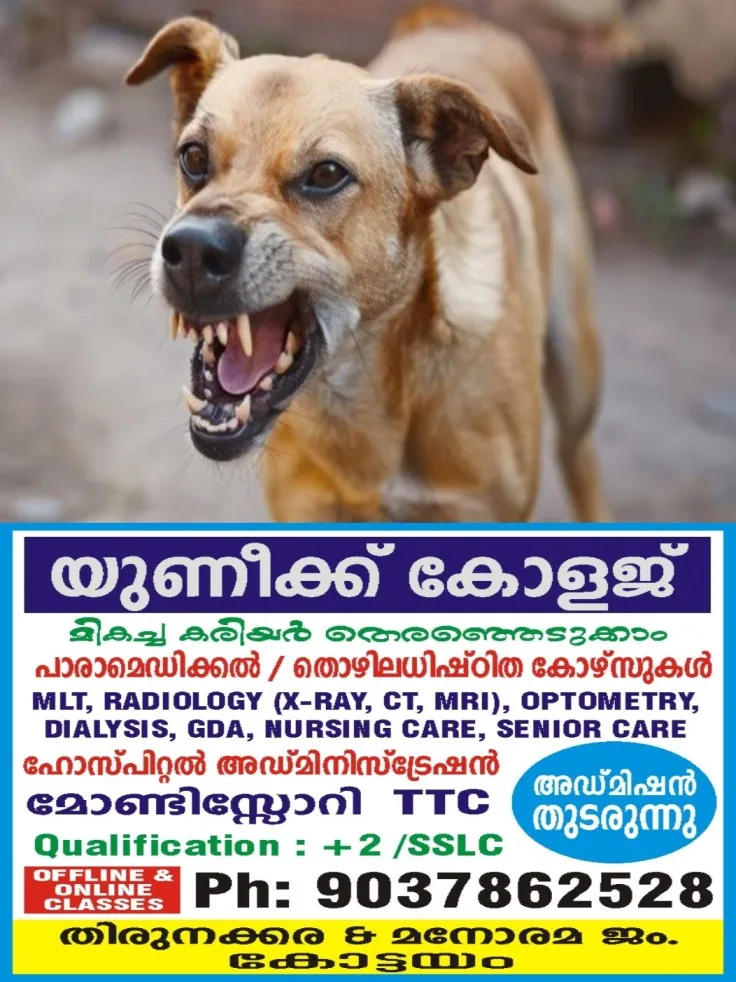 പേരൂർക്കട ജില്ലാ ആശുപത്രി വളപ്പിനുള്ളില് നാലുവയസുകാരന് തെരുവുനായയുടെ കടിയേറ്റു; പ്രതിഷേധവുമായി കുടുംബം