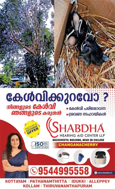 എല്ലാ ജീവനും വിലയുണ്ട്; മരം മുറിച്ചപ്പോൾ പക്ഷിക്കുഞ്ഞുങ്ങൾ ചത്ത സംഭവം;മൂന്നു പേർക്കെതിരെ വനംവകുപ്പ് കേസെടുത്തു;നടപടി വന്യജീവി സംരക്ഷണ നിയമപ്രകാരം