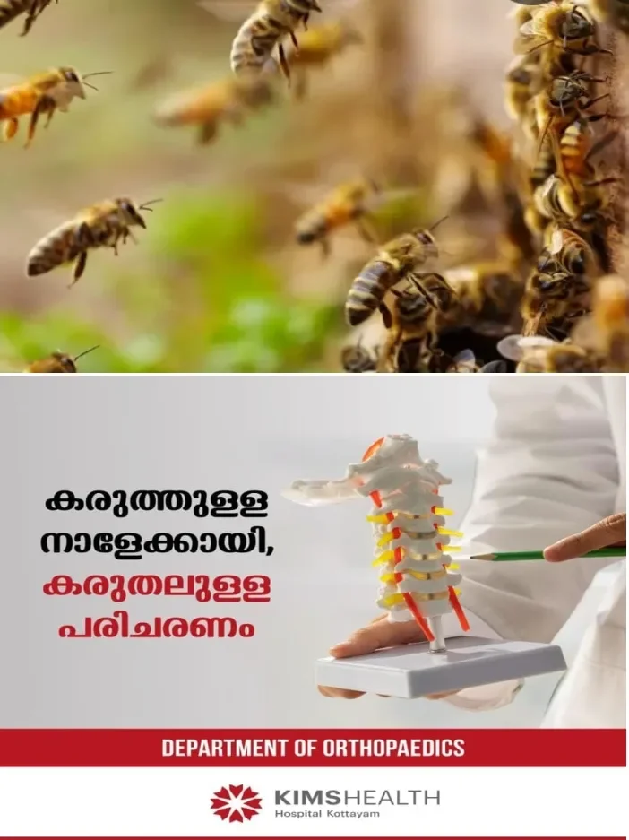 വന്ദേഭാരത് കോച്ചിൽ തേനീച്ചക്കൂട്ടത്തിന്റെ ആക്രമണം; 14 ഓളം യാത്രക്കാര്ക്ക് പരിക്ക്