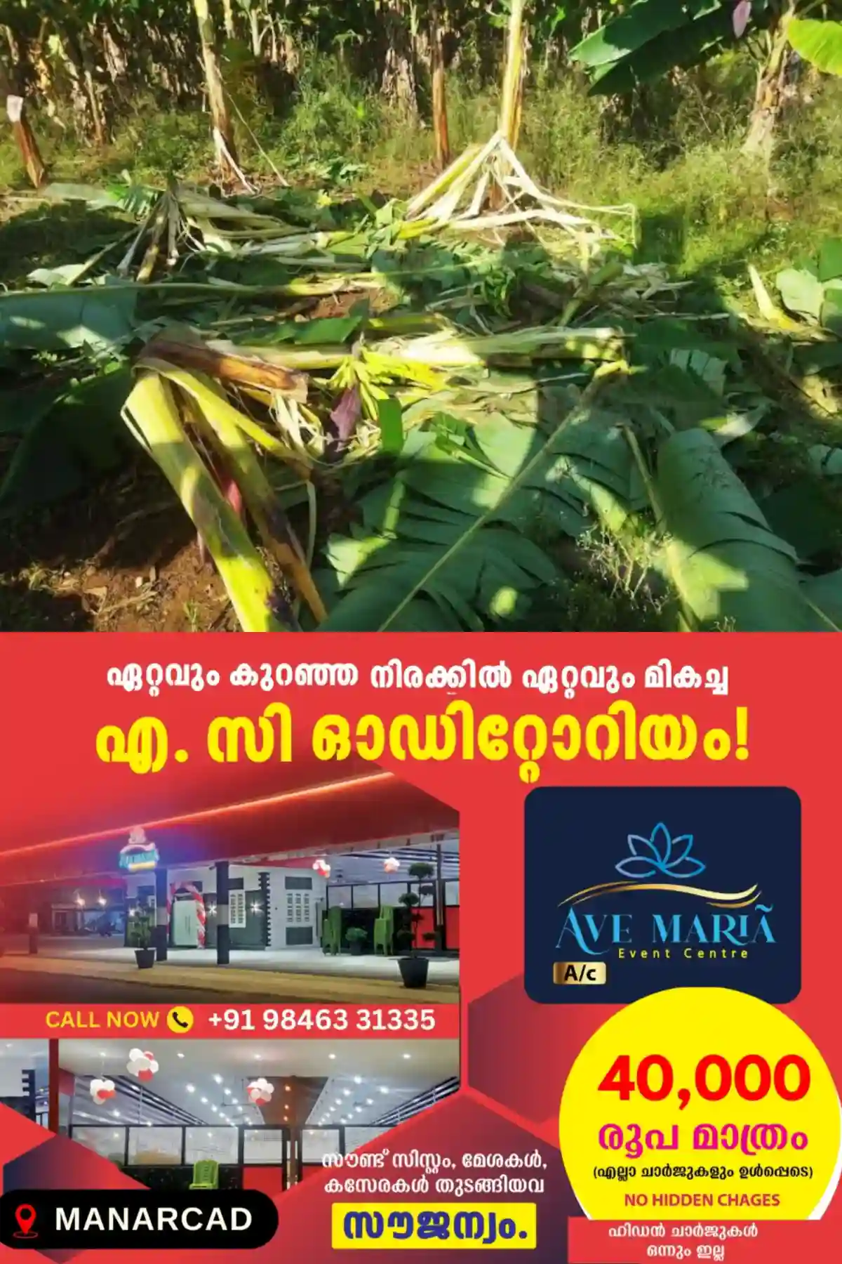 വന്യജീവി ആക്രമണം; 10 വര്ഷത്തിന് ശേഷം കര്ഷകര്ക്കുള്ള കൃഷിനാശ നഷ്ടപരിഹാരം ഇരട്ടിയാക്കി സര്ക്കാര്