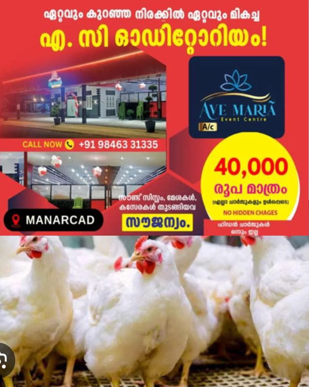 സംസ്ഥാനത്ത് കോഴിയിറച്ചി വില കുത്തനെ ഉയരുന്നു:വിപണിയില് കോഴിയിറച്ചി കിലോയ്ക്ക് 240 മുതല് 250 രൂപ വരെയായി വര്ദ്ധിച്ചു: കോഴിത്തീറ്റയുടെ അനിയന്ത്രിതമായ വില വർധനയാണ് കാരണമെന്ന് പറയുന്നു.