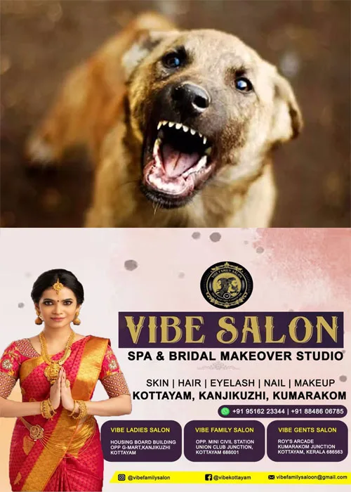     തലയോലപ്പറമ്പിൽ തെരുവുനായയുടെ ആക്രമണത്തിൽ കുട്ടികളടക്കം 4 പേർക്ക് പരിക്ക്;ആക്രമാസക്തനായ നായ പ്രദേശത്തെ നിരവധി നായ്ക്കളെ കടിച്ചു;അക്രമകാരിയായ തെരുവുനായ കാണാമറയത്ത്