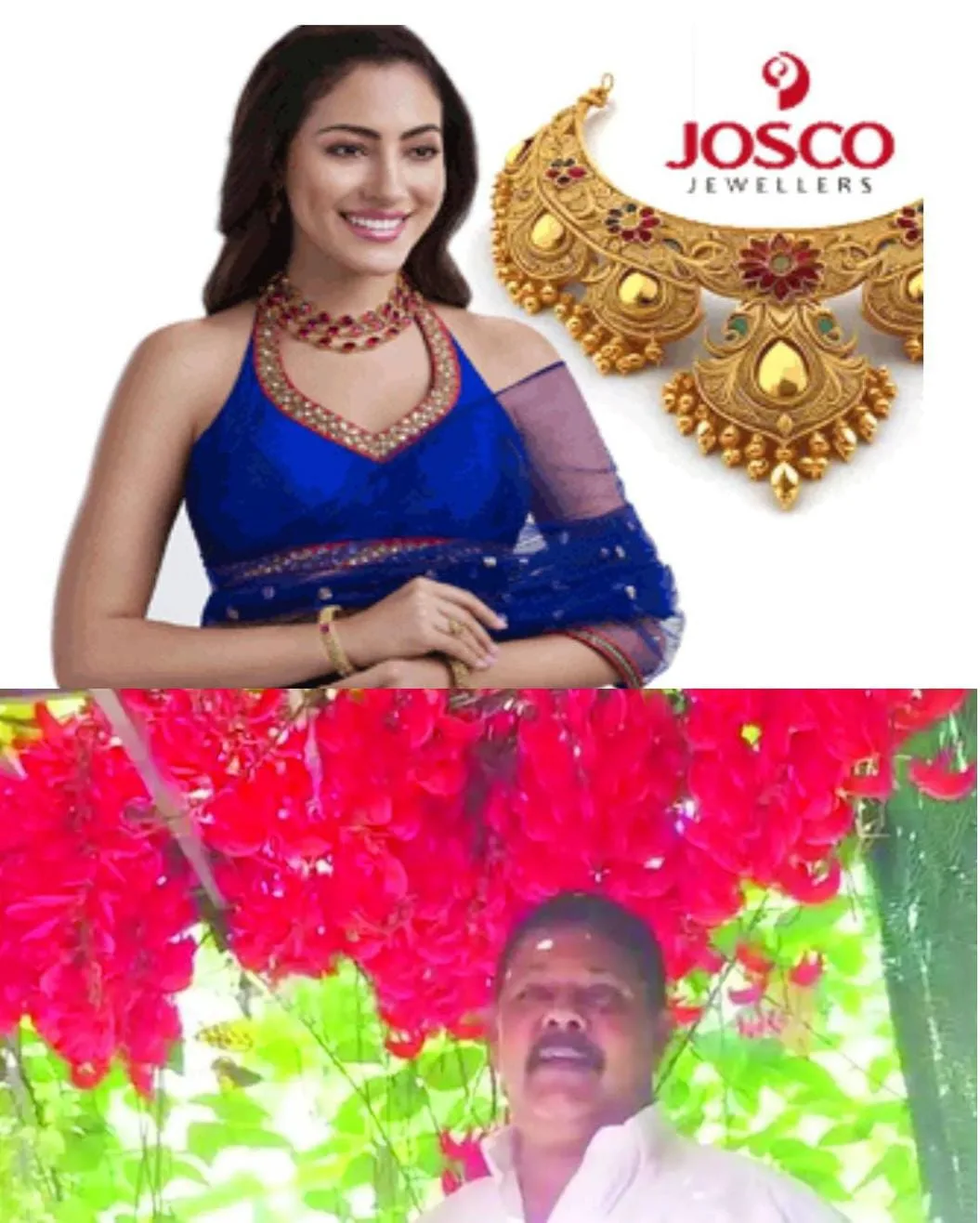 : കോട്ടയം കാപ്പുംതലയിലെ അപൂർവ വസന്തം പ്രകൃതി സ്നേഹികൾക്ക് വിസ്മയ കാഴ്ചയൊരുക്കുന്നു: പൂക്കളിലെ തേൻ നുകരാൻ എത്തുന്ന കുരുവികളും അവയുടെ കൂടും കൗതുകം പകരുന്നു.