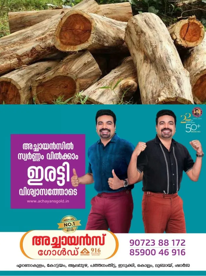 പിഴവുകൾ തിരുത്തി വനംവകുപ്പ്; മുട്ടിൽ മരംമുറിക്കേസിൽ വീണ്ടും കുറ്റപത്രം സമർപ്പിച്ച്‌ വനംവകുപ്പ്
