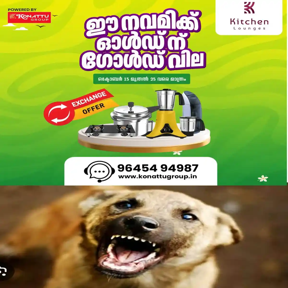 പരിപ്പിൽ നിരവധി പേരെ കടിച്ച തെരുവ് നായയെ നാട്ടുകാർ തല്ലിക്കൊന്നു