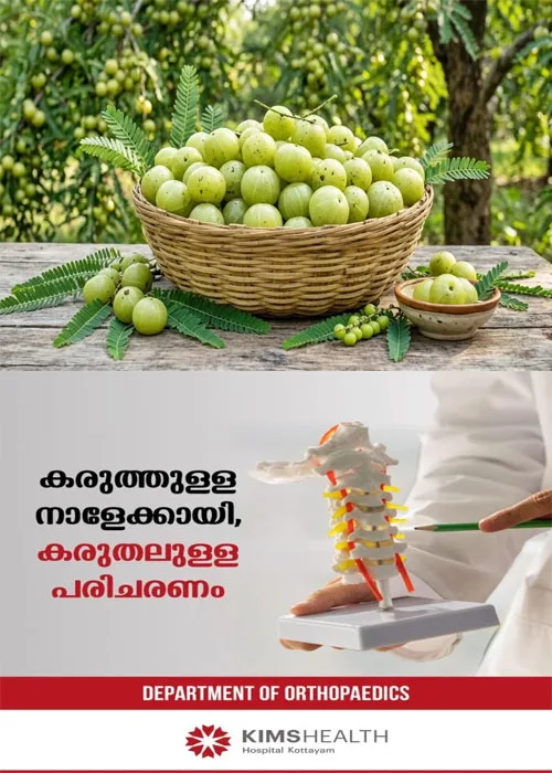 വെറും വയറ്റിൽ ഒരു നെല്ലിക്ക കഴിച്ചു നോക്കൂ ; ഗുണങ്ങൾ അറിഞ്ഞാൽ നിങ്ങളും ശീലമാക്കും