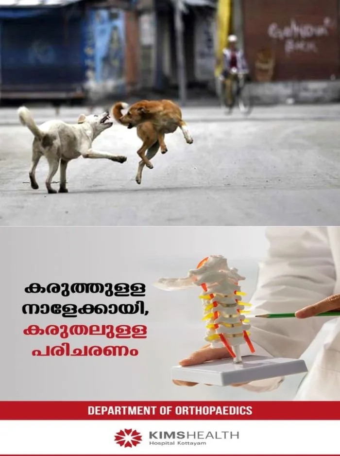 പേവിഷബാധ സംശയിക്കുന്ന തെരുവ് നായയുടെ കടിയേറ്റ് നാലുപേര്ക്ക് പരിക്ക്; സംഭവം തലയോലപ്പറമ്പില്