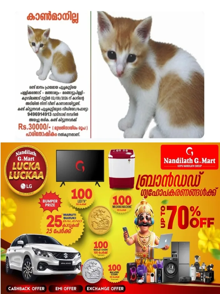 കാറില്നിന്നു ചാടിപ്പോയ പൂച്ചക്കുട്ടിയെ കണ്ടെത്തുന്നവർക്ക് 30,000 രൂപ പാരിതോഷികം പ്രഖ്യാപിച്ച് വീട്ടമ്മ;കോട്ടയം പള്ളിക്കത്തോട് സ്വദേശിനിയുടെ രണ്ടു മാസം പ്രായമുള്ള പൂച്ചക്കുട്ടിയെയാണ് കഴിഞ്ഞ രണ്ടുമുതല് കാണാതായത്