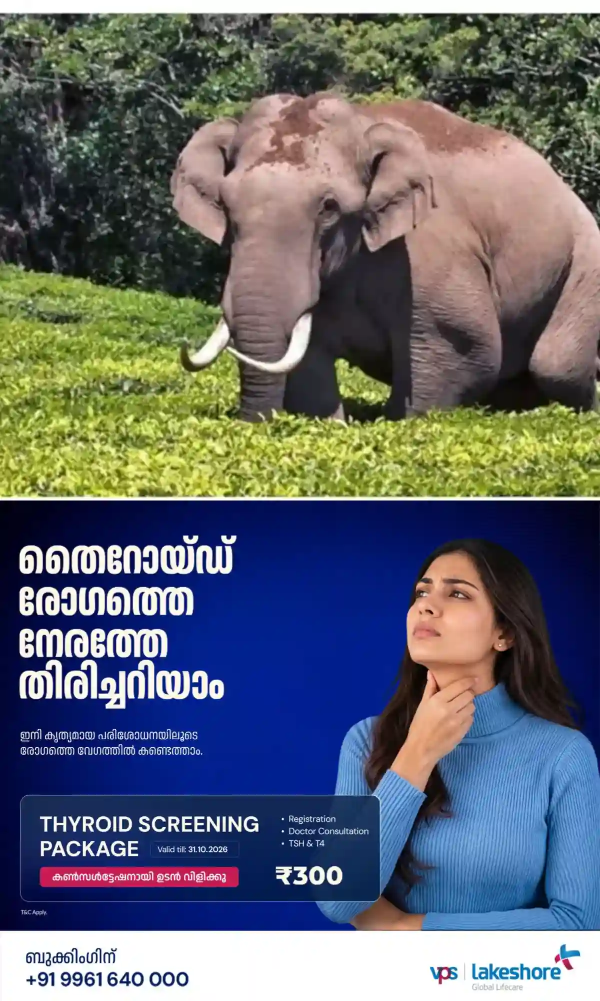ഇടുക്കിയിലെ ചിന്നക്കനാല്‍ മേഖലയില്‍ ഭീതി പരത്തുന്ന ചക്കക്കൊമ്പൻ ഉള്‍പ്പെടെ രണ്ട് കാട്ടാനാകളെ മയക്കുവെടിവച്ച്‌ മാറ്റുന്ന ദൗത്യം ഇനിയും നീളും; ഹൈക്കോടതി നി‍ർദ്ദേശം അനുസരിച്ചായിരിക്കും നടപടികളെന്ന് വനംമന്ത്രി
