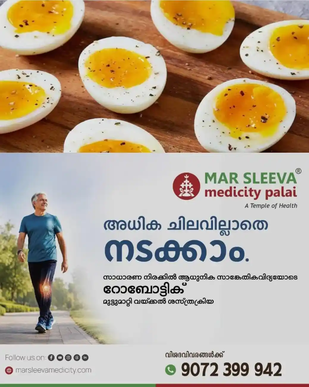 സ്ത്രീകള് ദിവസവും മുട്ട കഴിക്കണമെന്ന് പറയുന്നത് എന്തുകൊണ്ട്? അറിയാം ആരോഗ്യ ഗുണങ്ങൾ...!