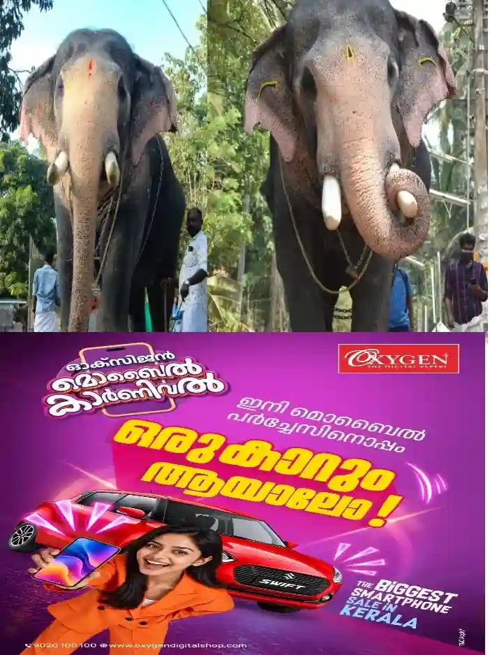 അരുണാചൽ വനങ്ങളിൽ നിന്ന് 25 വർഷം മുമ്പ് കോട്ടയത്തെത്തി; ചുരുങ്ങിയ കാലം കൊണ്ട്   ആനപ്രേമികളുടെ പ്രിയപ്പെട്ടവനായി;കൊമ്പൻ പല്ലാട്ട് ബ്രഹ്മദത്തൻ ഇനി ഓർമ്മ