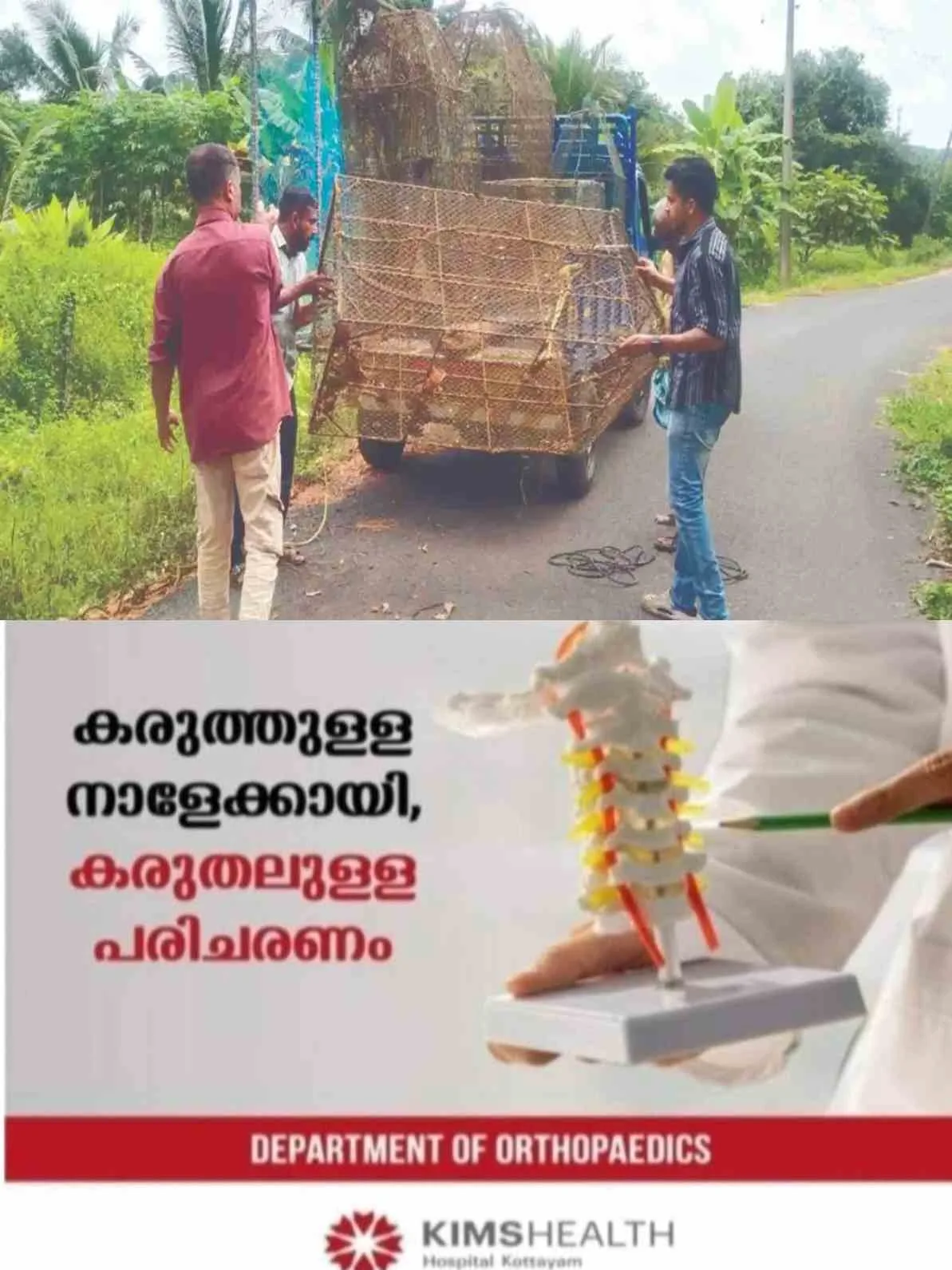 പുതുപ്പള്ളിയിൽ അനധികൃത മത്സ്യബന്ധനം; തോട്ടിൽ സ്ഥാപിച്ച ആറ് കൂടുകൾ ഫിഷറീസ് വകുപ്പ് പിടിച്ചെടുത്തു