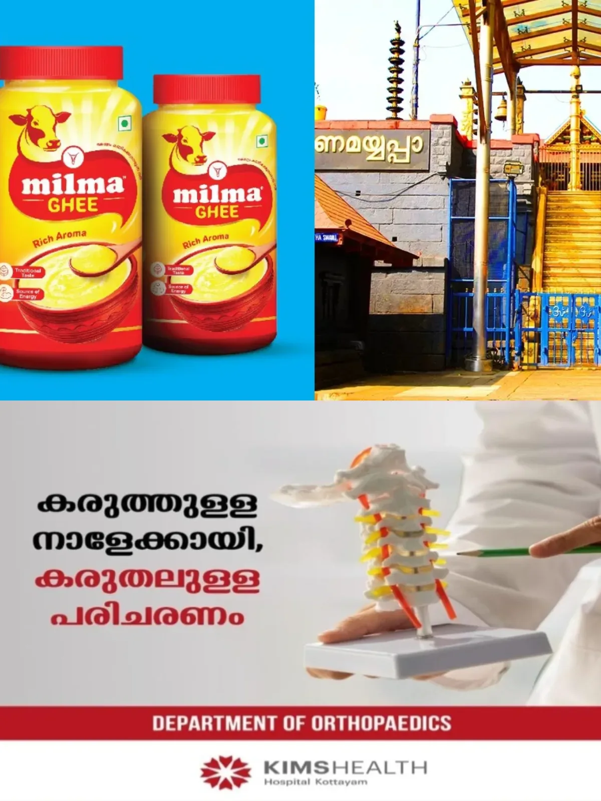 ശബരിമല നെയ്യ് ക്രമക്കേട്; നിലവിലെ അന്വേഷണം ശരിയായ ദിശയിൽ, പഴുതടച്ച അന്വേഷണം വേണമെന്ന് ഹൈക്കോടതി