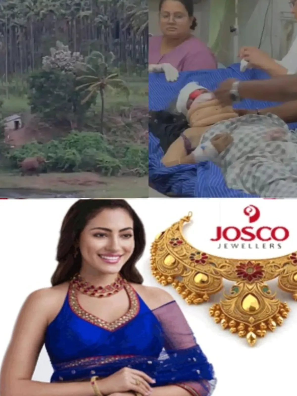 പുഴയിലിറങ്ങിയത് മുന്നറിയിപ്പ് അവഗണിച്ച്; അട്ടപ്പാടിയില് കാട്ടാനയുടെ ആക്രമണത്തില് പരിക്കേറ്റ വിനോദ സഞ്ചാരിയായ സ്ത്രീ മരിച്ചു