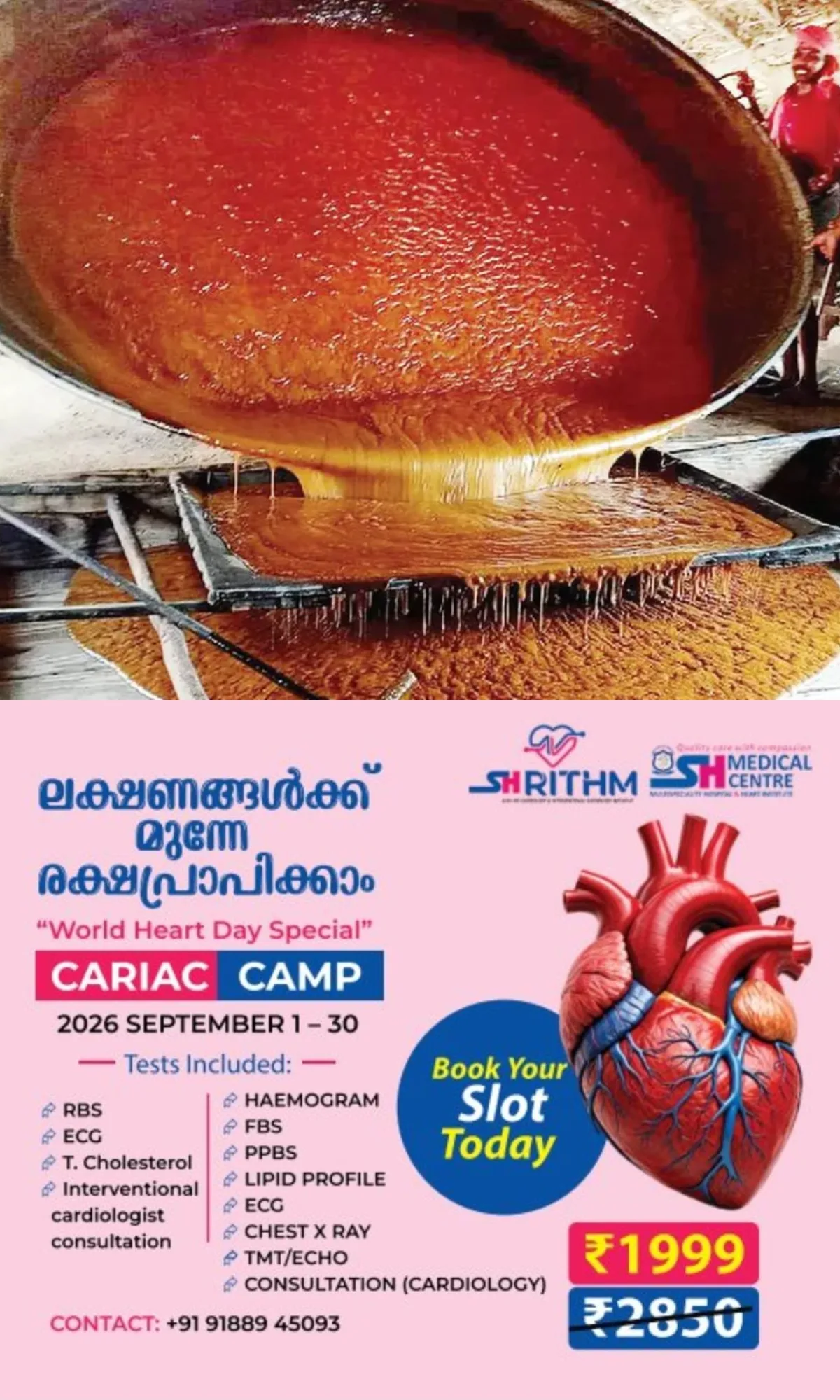 കരിമ്പ് കൃഷി കുറ‍ഞ്ഞു; മറയൂര്‍ ശര്‍ക്കരയ്ക്ക് പ്രതിസന്ധി കാലം, വിപണിയില്‍ വ്യാജൻ സുലഭം