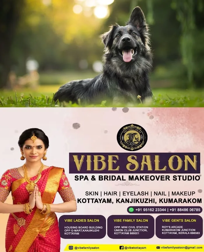 മൃഗങ്ങളെ ഇനി തോന്നിയത് പോലെ വളര്‍ത്താനാകില്ല, വഴിയില്‍ ഉപേക്ഷിച്ചാലും പണി കിട്ടും; വളര്‍ത്തു നായകളെ വഴിയില്‍ ഉപേക്ഷിക്കുന്നവര്‍ക്ക് പിഴ ചുമത്താന്‍ സംസ്ഥാന സര്‍ക്കാര്‍, 10,000 രൂപയാണ് പിഴയായി ചുമത്തുക 