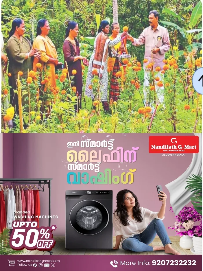 വെള്ളപ്പൊക്കത്തെ അതിജീവിച്ച് തലയാഴത്ത് തലയുയർത്തി ബന്ദിപൂക്കൾ; കീശ ചോരാതെ ഇനി പൂക്കളമൊരുക്കാം