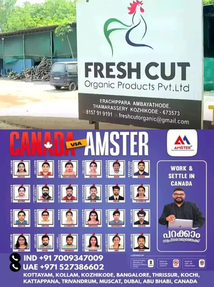 അറവു മാലിന്യ സംസ്കരണ കേന്ദ്രമായ ഫ്രഷ് കട്ട് മാറ്റി സ്ഥാപിച്ചേക്കും: സർക്കാരിന്റെ സഹകരണത്തോടെ പുതിയ സ്ഥലം കണ്ടെത്താൻ നീക്കം