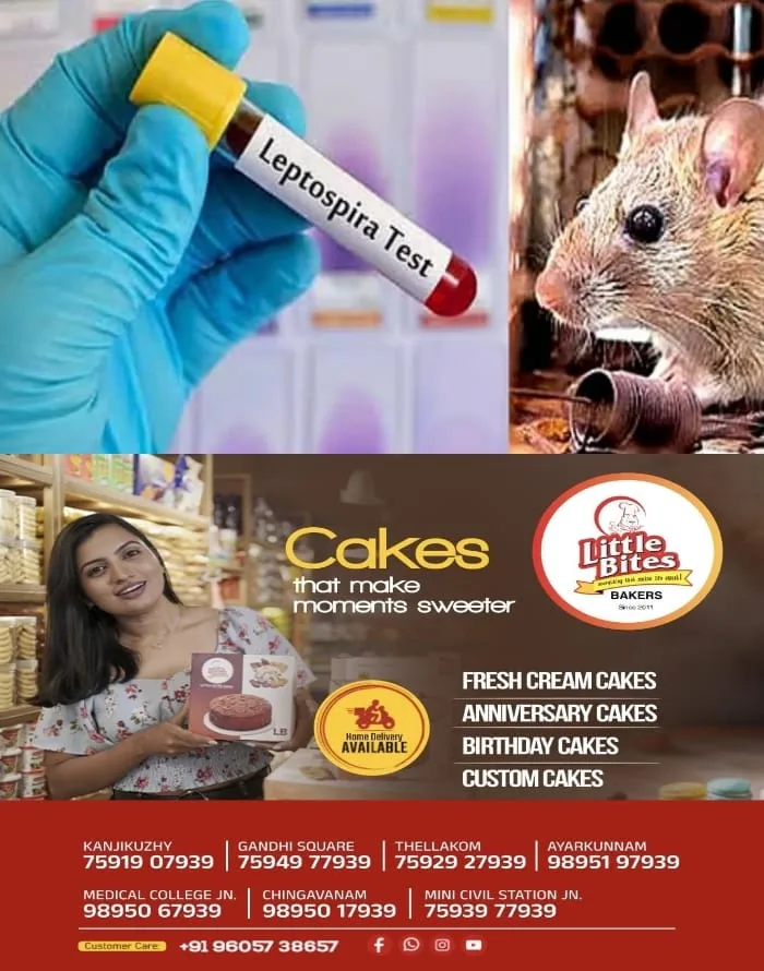 സംസ്ഥാനത്ത് എലിപ്പനി മരണം കൂടുന്നു; ഏഴു മാസത്തിനുള്ളില്‍ 48 പേര്‍ക്കു മരണം സംഭവിച്ചു