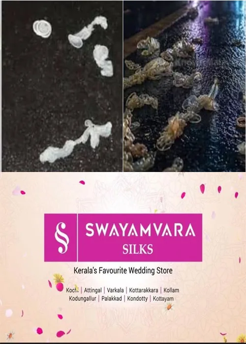 ചെങ്ങന്നൂരിൽ ഗർഭനിരോധന ഉറകൾ കൂട്ടത്തോടെ റോഡിൽ തള്ളിയ സംഭവം; സിസിടിവി ക്യാമറകൾ അടക്കം ഉണ്ടായിട്ടും പോലീസ് അന്വേഷിക്കുകയോ കേസെടുക്കുകയോ ചെയ്തില്ല; പോലീസ് അന്വേഷണത്തിൽ വീഴ്ച ആരോപിച്ച് കോൺഗ്രസ് കൗൺസിലർ ആഭ്യന്തര മന്ത്രിക്ക് പരാതി നൽകി