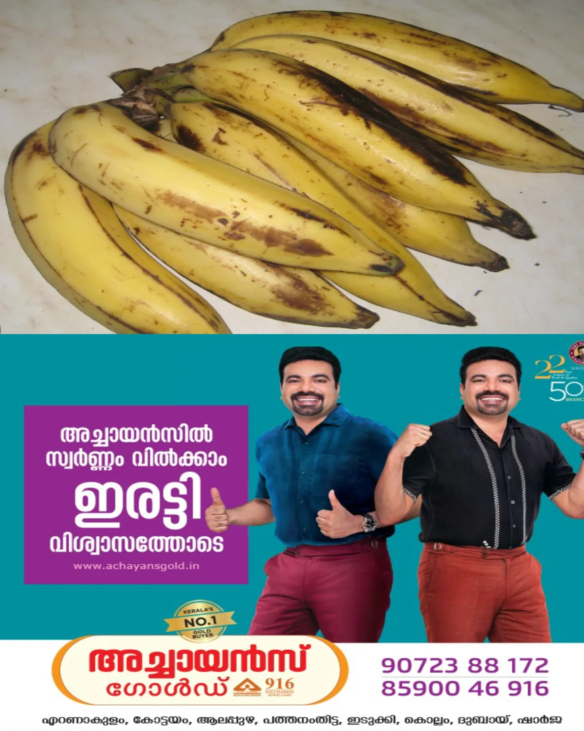 ഇക്കുറി ഓണത്തിന് ഏത്തപ്പഴം ഉപ്പേരി വറുത്താലോ: ഏത്തപ്പഴത്തിന് വില കുറഞ്ഞു :പച്ചക്കായ്ക്ക് വില കൂടി