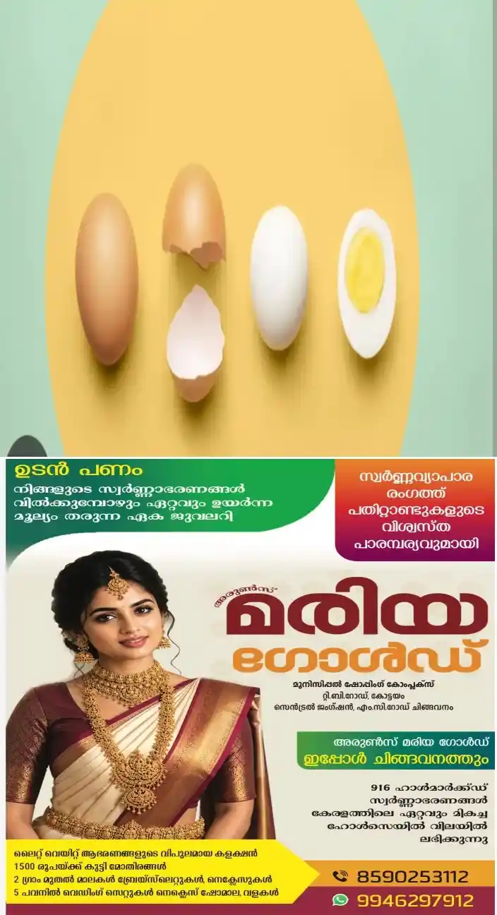 വണ്ണം  കുറയ്ക്കണോ മുട്ട ഇങ്ങനെ ഉപയോഗിച്ചു നോക്കൂ 