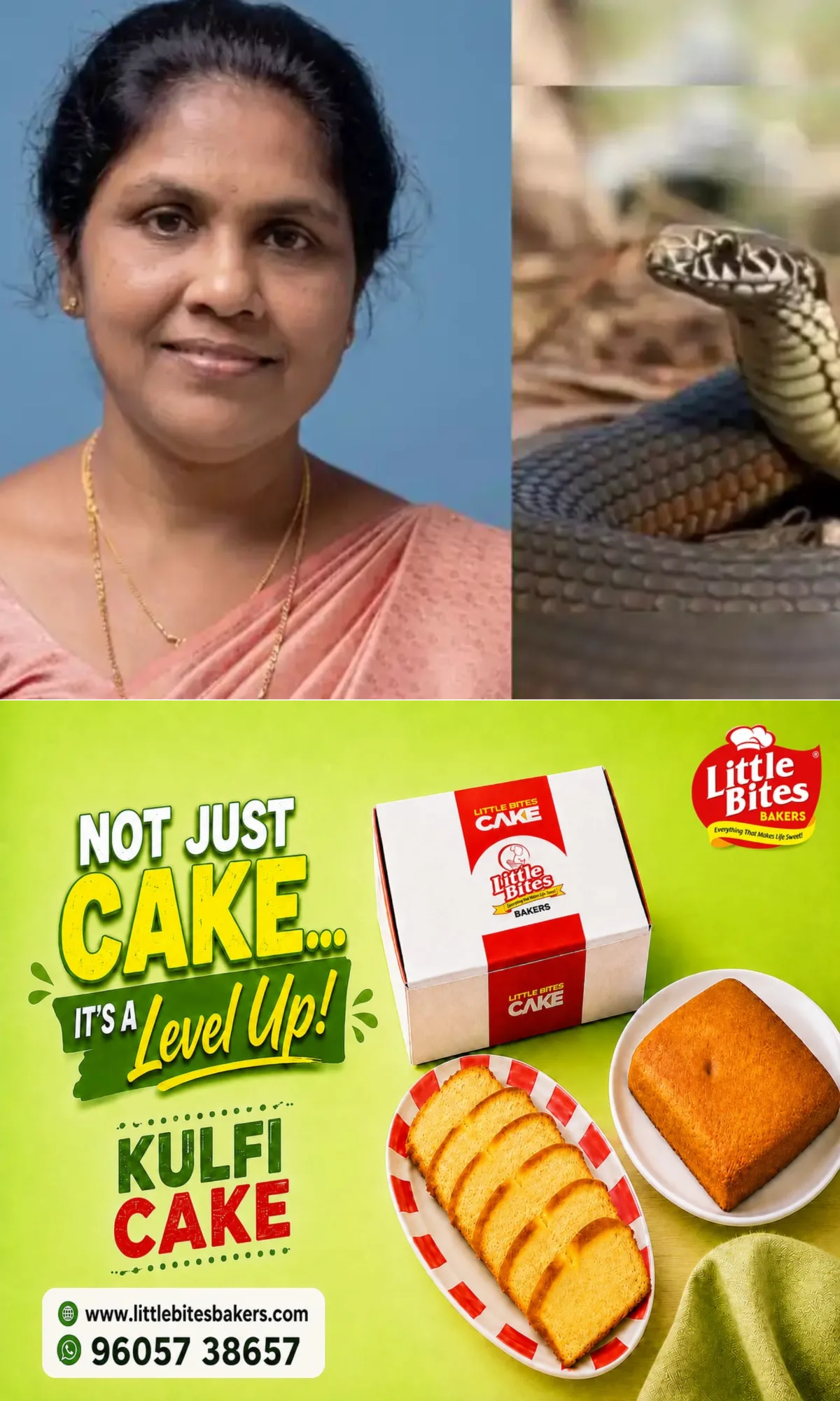 വീണ്ടും പാമ്പുകടിയേറ്റ് മരണം; ആലപ്പുഴയില്‍ അണലിയുടെ കടിയേറ്റ് ചികിത്സയിലായിരുന്ന വീട്ടമ്മ മരിച്ചു