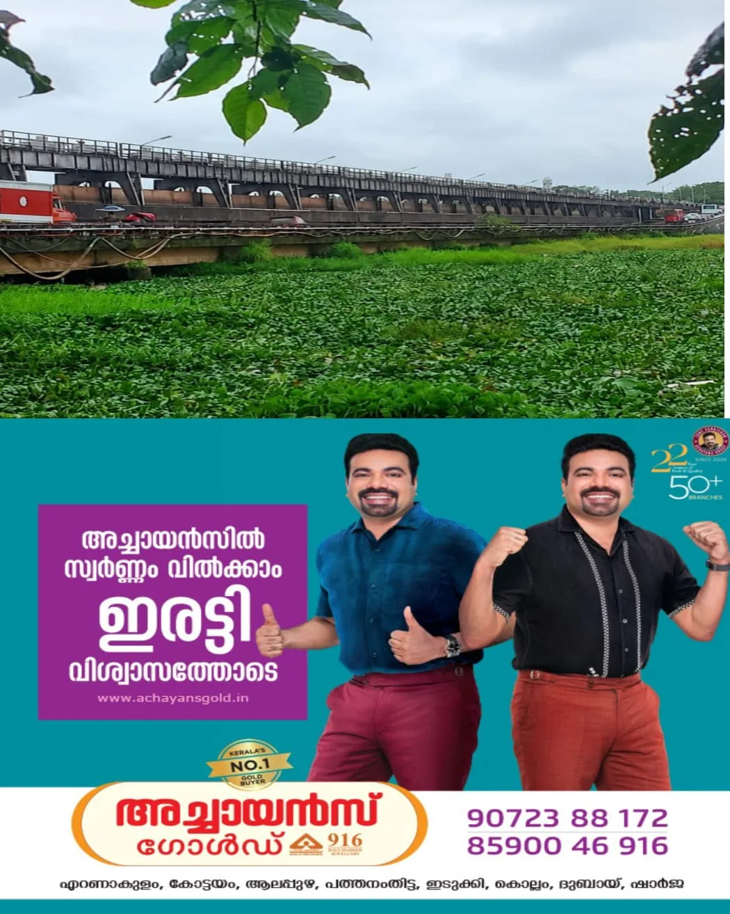 തണ്ണീർമുക്കം ബണ്ടിൽ തങ്ങി നിൽക്കുന്ന പോളക്കൂട്ടം നീരൊഴുക്ക് തടസ്സപ്പെടുത്തുന്നു: അടിയന്തരമായി ഇത് നീക്കിയില്ലെങ്കിൽ വടക്കൻ കുട്ടനാട്ടിലെ വെള്ളപ്പൊക്കത്തിന് ശമനമുണ്ടാകില്ല.