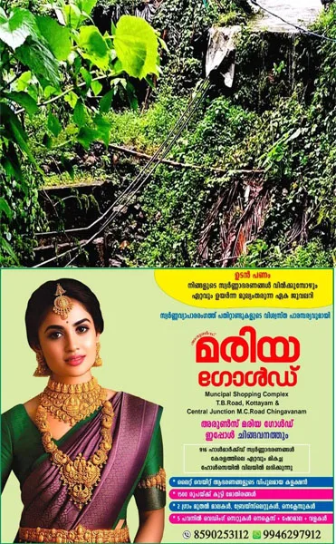   മൂലമറ്റം അറക്കുളം ഗണപതിക്ഷേത്രത്തിന് സമീപത്തെ ഇരുമ്പുപാലം തകർന്നിട്ട് വർഷങ്ങൾ;തിരിഞ്ഞു നോക്കാതെ അധികാരികൾ