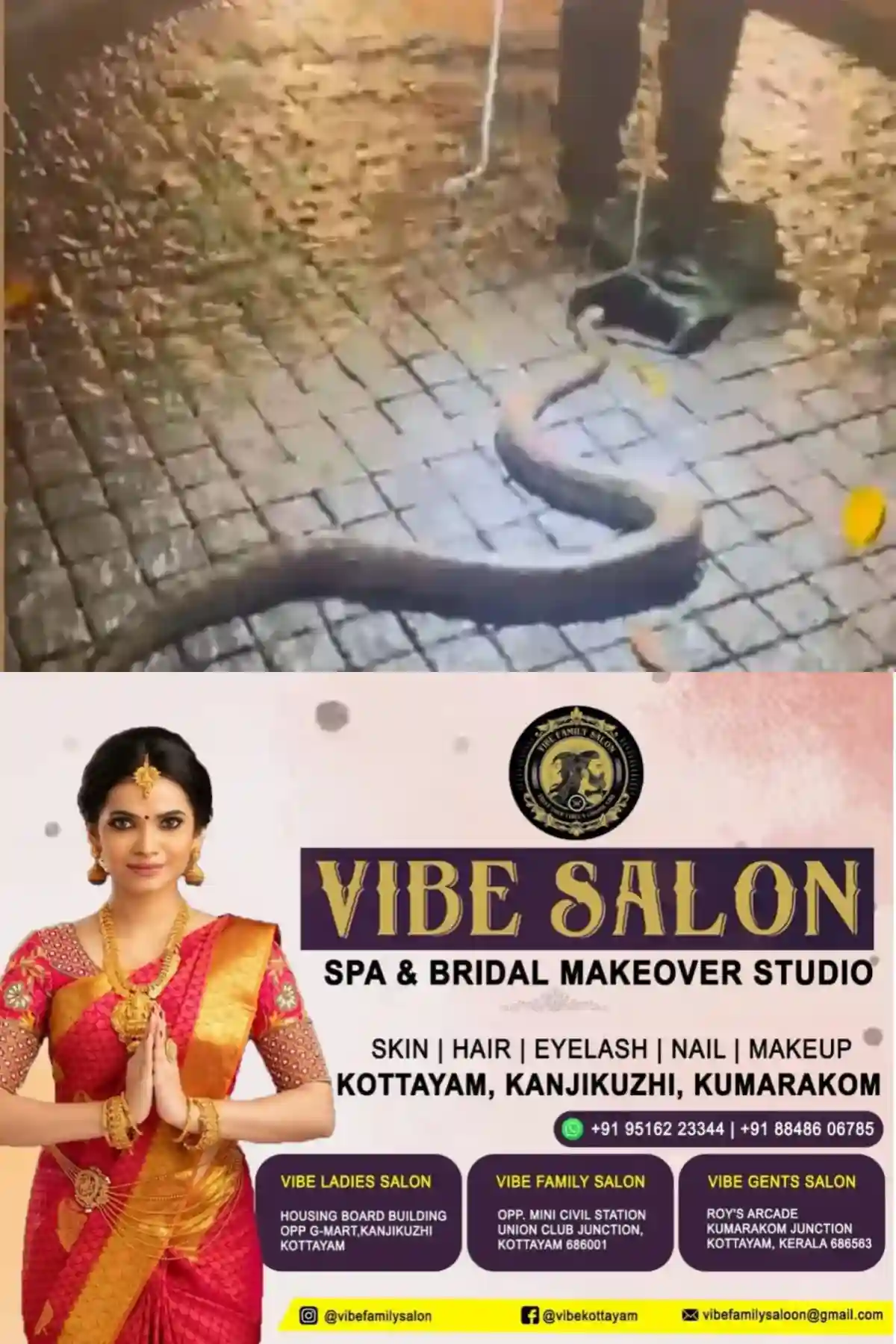 മുഖ്യമന്ത്രി വി.ഡി. സതീശന്റെ ആലുവ ദേശത്തെ വീട്ടുമുറ്റത്ത് വീണ്ടും മലമ്പാമ്പ്; കണ്ടെത്തിയത് മൂന്നാംതവണ