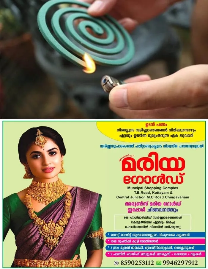  'വ്യാജ കൊതുകുതിരികള്‍ ഡെങ്കിയേക്കാള്‍ വില്ലൻ'; ഇക്കാര്യങ്ങള്‍ ശ്രദ്ധിക്കണമെന്ന മുന്നറിയിപ്പുമായി വിദഗ്ധര്‍