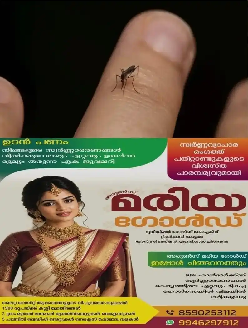 കെമിക്കല്‍ ക്രീമുകള്‍ വാങ്ങി പുരട്ടി പണവും ആരോഗ്യവും കളയേണ്ട; കുറച്ച്‌ നല്ലെണ്ണ മതി കൊതുകിനെ തുരത്താൻ; ഇങ്ങനെയൊന്ന് പരീക്ഷിച്ച് നോക്കൂ...! 