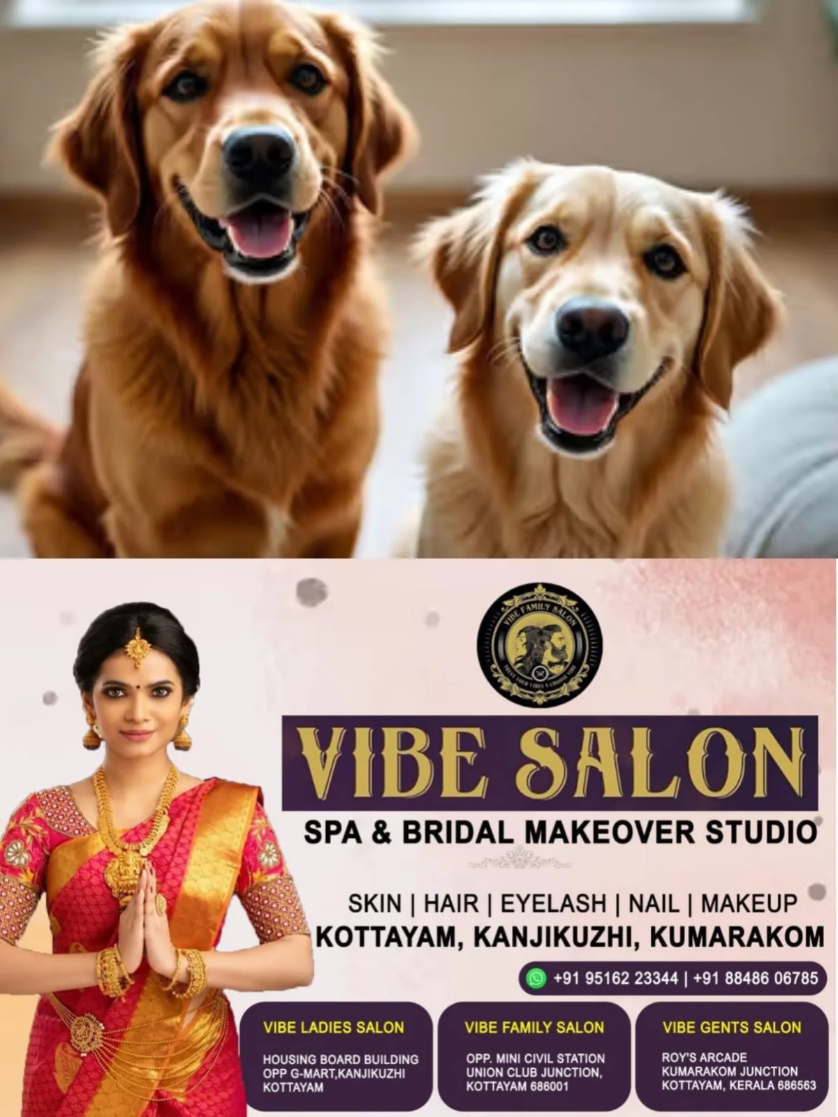 തെരുവില് ഉപേക്ഷിച്ചാല് 10,000 രൂപ പിഴ; വളര്ത്തുനായ്ക്കള്ക്ക് ആര്.എഫ്.ഐ.ഡി ചിപ്പ് നിര്ബന്ധമാക്കാൻ സര്ക്കാര്