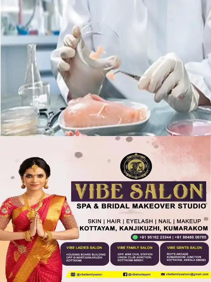 ഇടുക്കിയിൽ മൂന്ന് മാസത്തിനിടെ 643 ഭക്ഷണശാലകളിൽ പരിശോധന നടത്തി;വീഴ്ചകൾ വരുത്തിയ 95 സ്ഥാപനങ്ങൾക്ക് തിരുത്തൽ നോട്ടീസ് നൽകി;ഈടാക്കിയത് രണ്ട് ലക്ഷം
